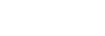 Auto guardian by SMartcone