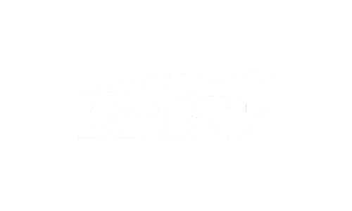 Blackbird UAV