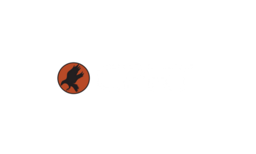 Carleton Planetary Robotics Team