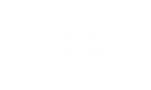 Optimus AI